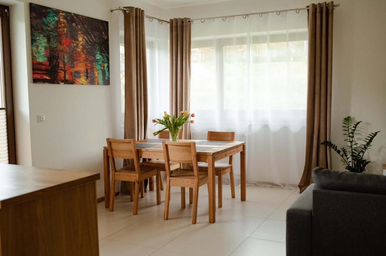 Apartament Sloneczna Rapsodia - Blisko Parku Zdrojowego - Piekny Widok - Ogrod - Taras Rabka Εξωτερικό φωτογραφία