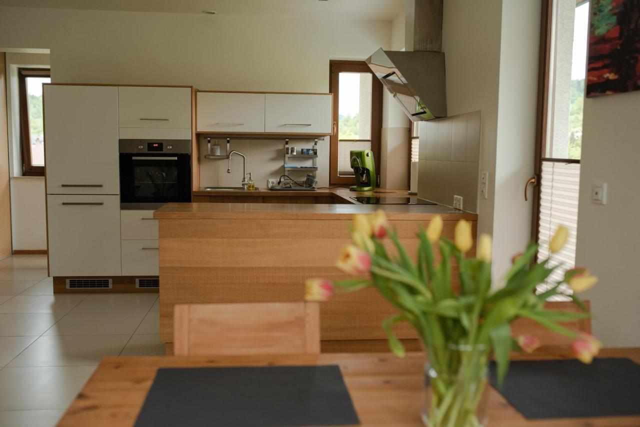 Apartament Sloneczna Rapsodia - Blisko Parku Zdrojowego - Piekny Widok - Ogrod - Taras Rabka Εξωτερικό φωτογραφία