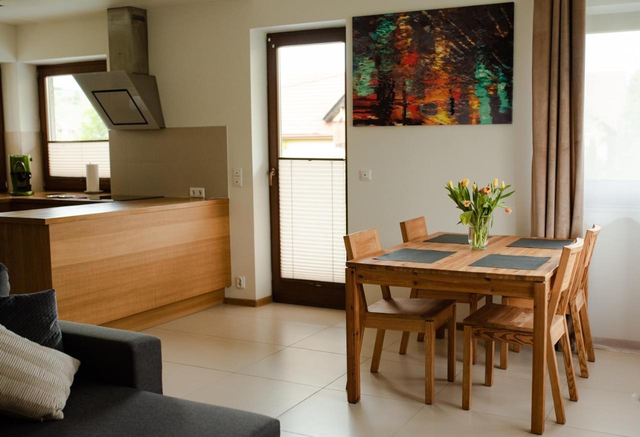 Apartament Sloneczna Rapsodia - Blisko Parku Zdrojowego - Piekny Widok - Ogrod - Taras Rabka Εξωτερικό φωτογραφία